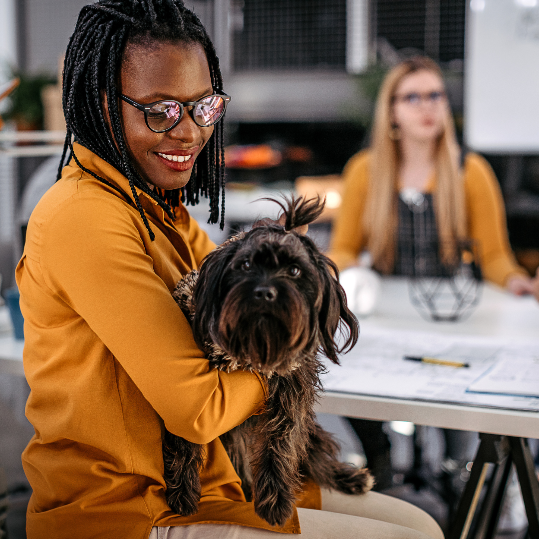 Get Ready For Take Your Dog To Work Day - Friday June 21st