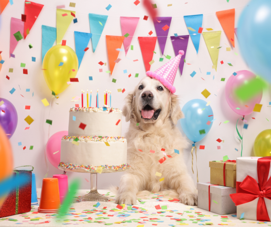 Happy 15th Birthday To Us!