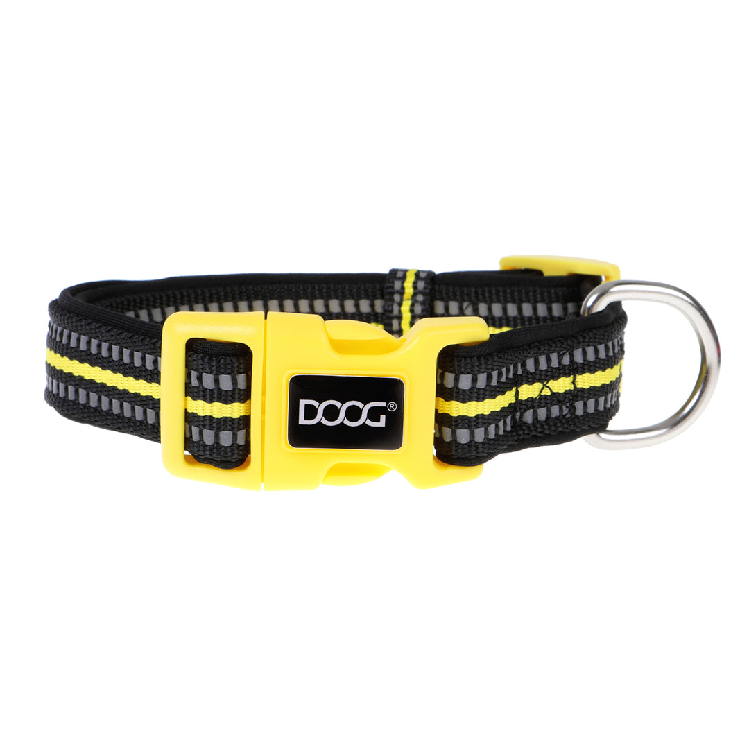 Neoprene Dog Collar