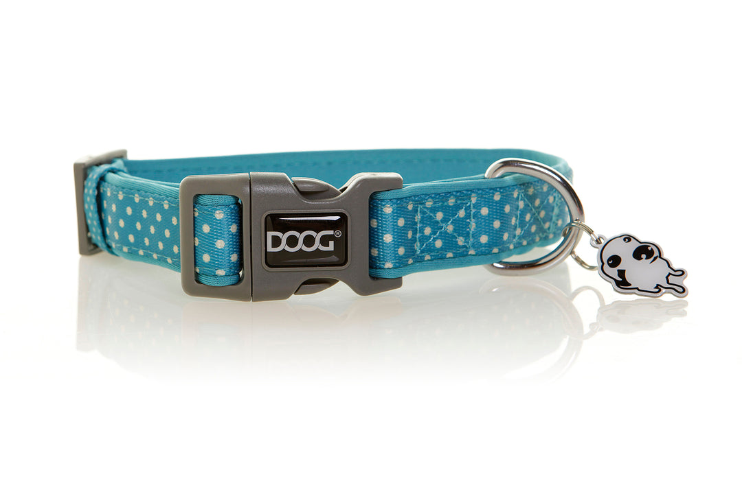 Neoprene Dog Collar