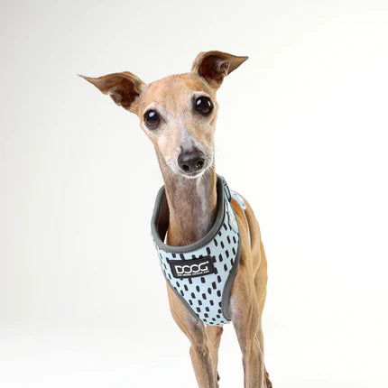 Neoflex Soft Harness