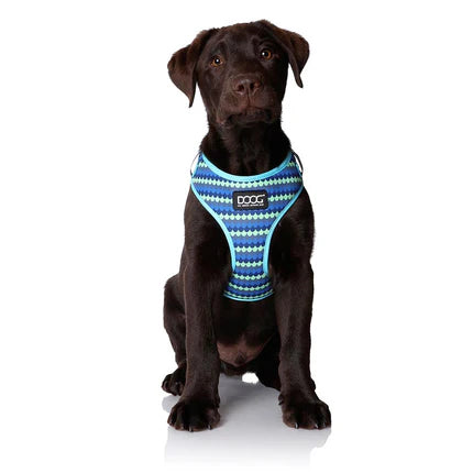 Neoflex Soft Harness