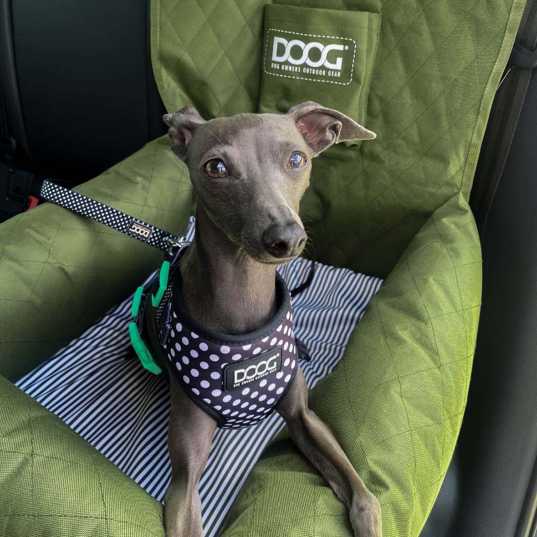 Car Seat - GREEN *NEW* (Small to Medium Breeds)