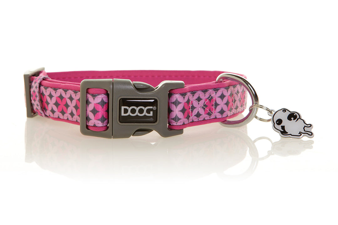 Neoprene Dog Collar