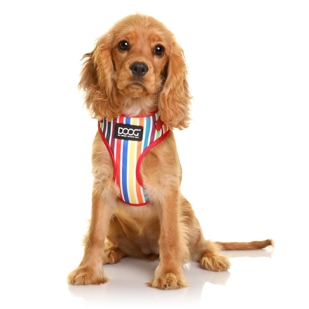 Neoflex Soft Harness