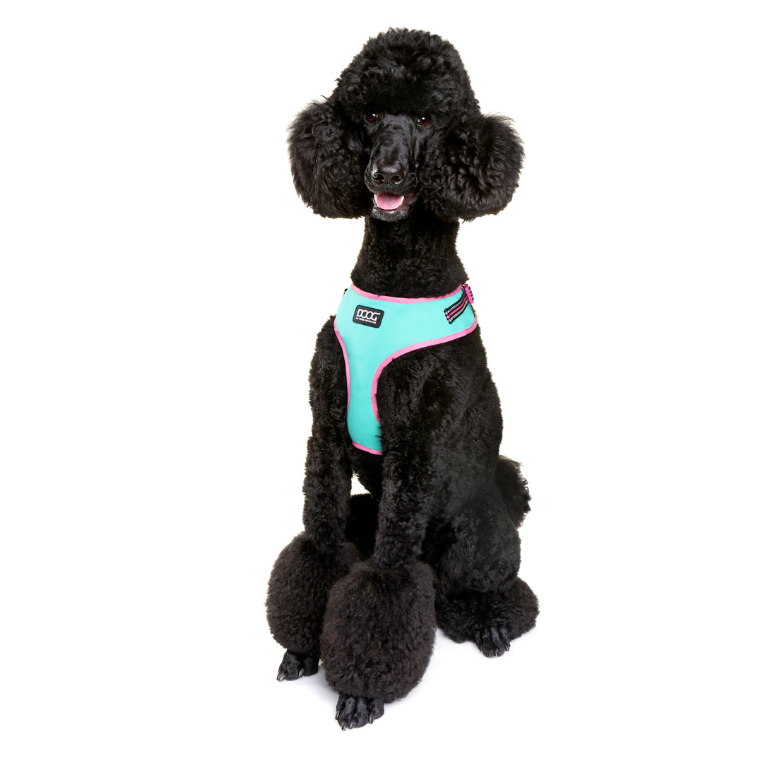 Neoflex Soft Harness