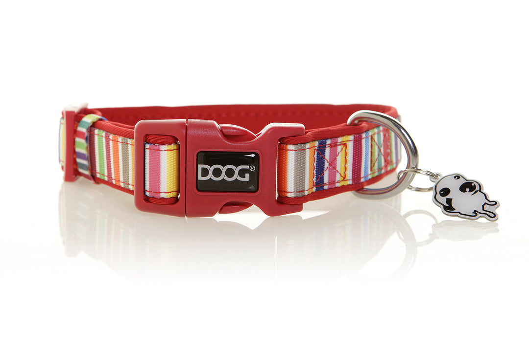 Neoprene Dog Collar