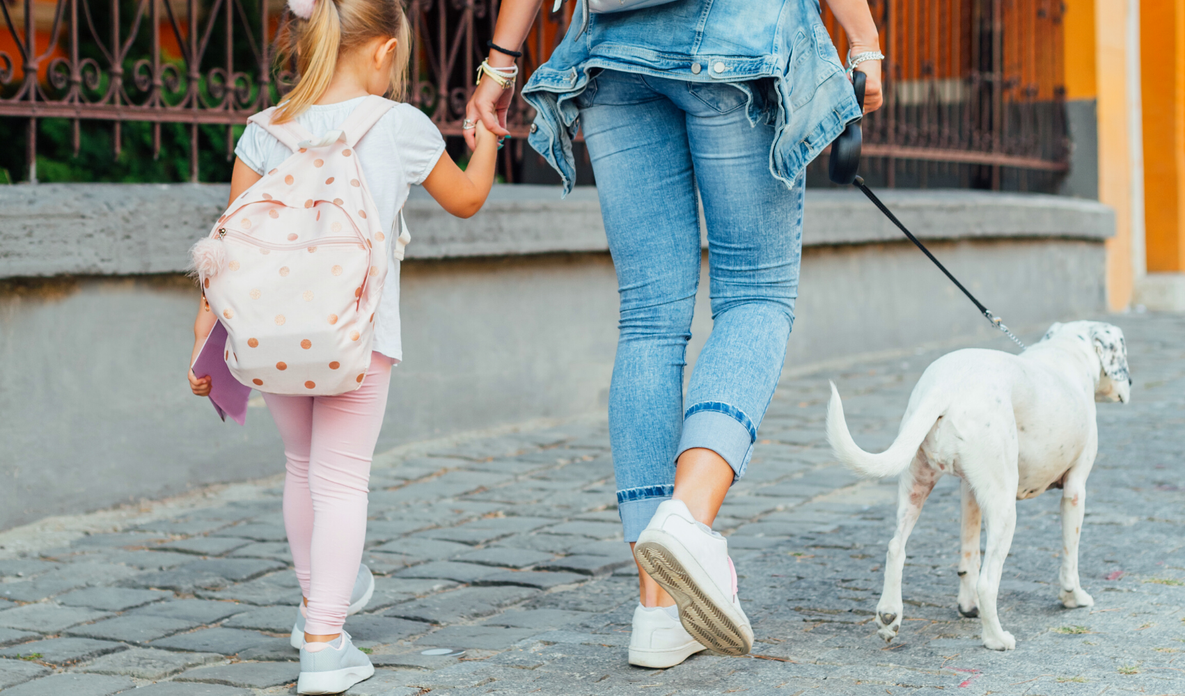 Our Top 5 Fave Dog Moms of Instagram