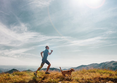 5 Tips For Burning More Calories On Your Dog Walk