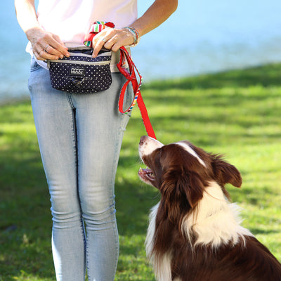 Dog Training Tips with Dr Katrina Warren (Guest Blogger)
