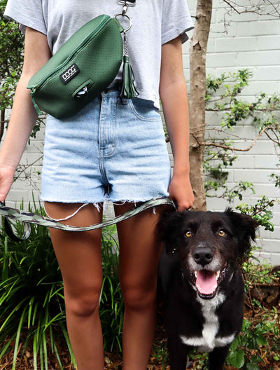 3 Great Reasons To Walk Your Dog Every Day
