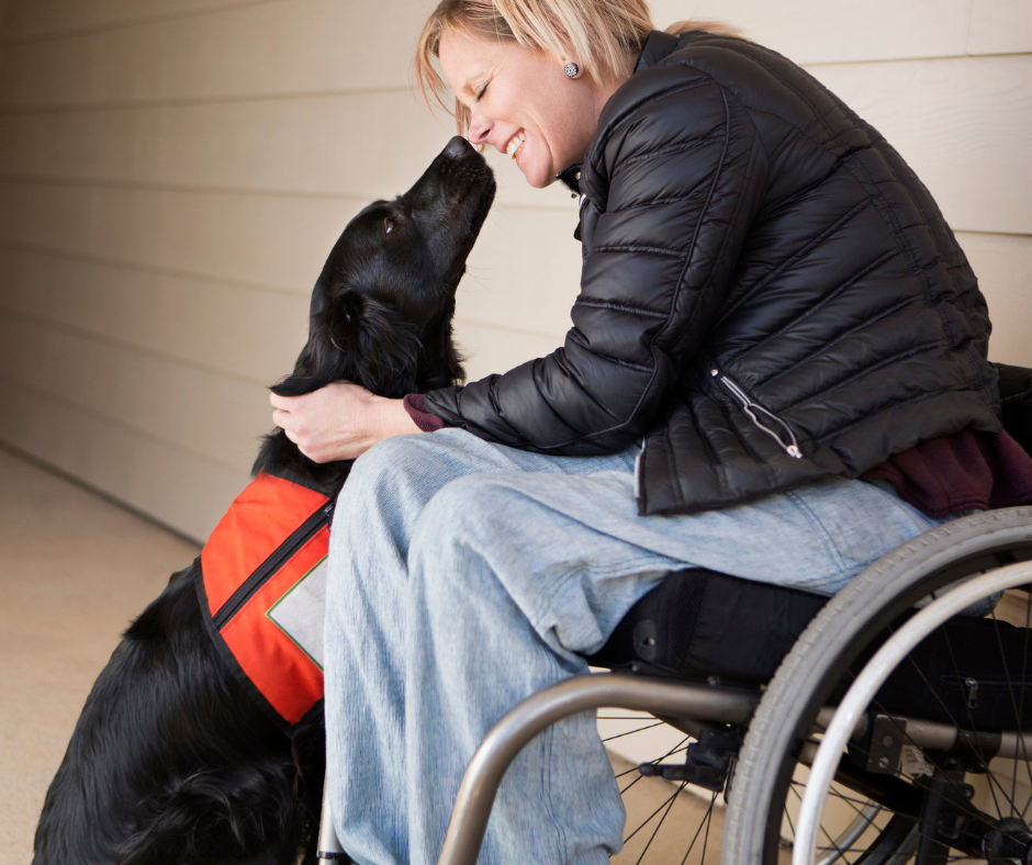 Happy Assistance/Service Dog Week