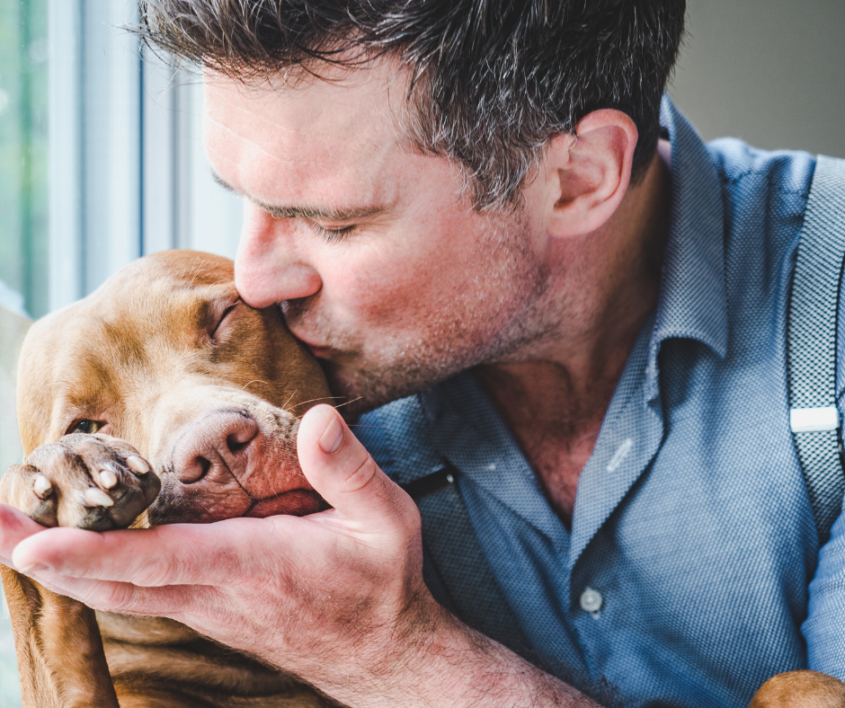 New Years Resolutions You Can Set With Your Dog