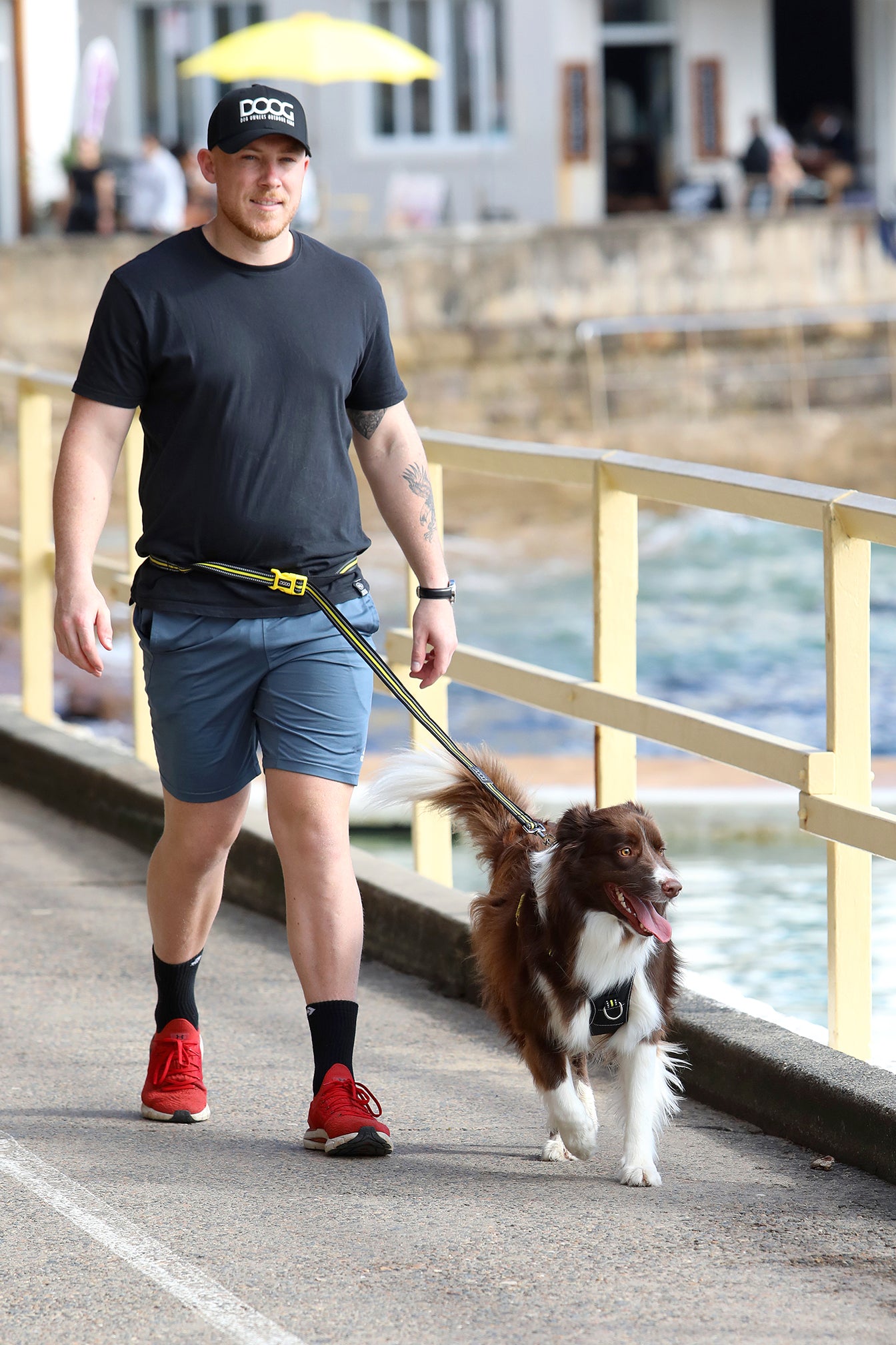 Leash Collection