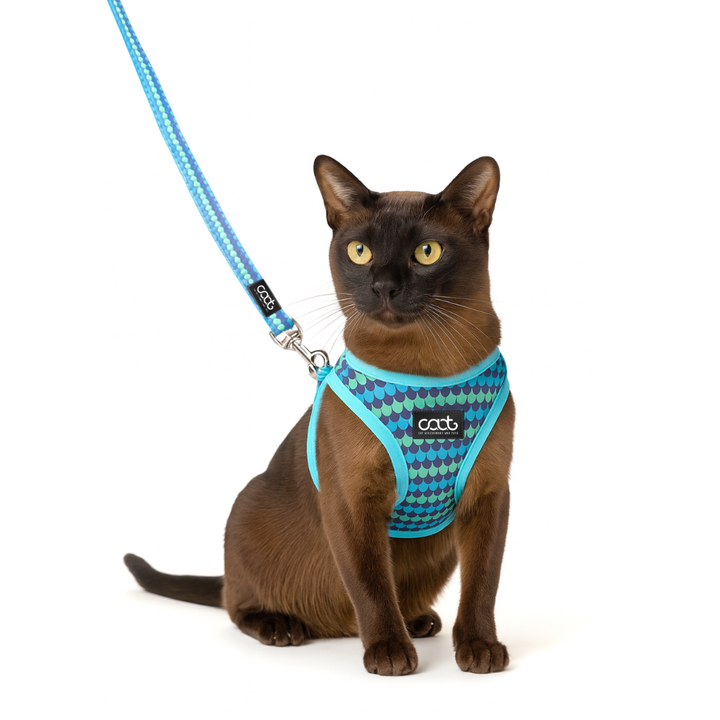 CAAT Cat Harness & Leash Combo