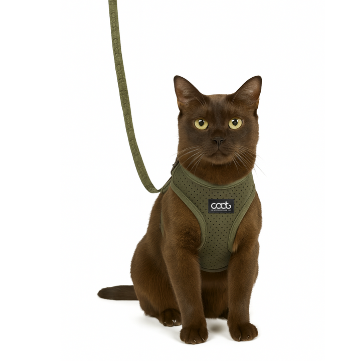 CAAT Cat Harness & Leash Combo