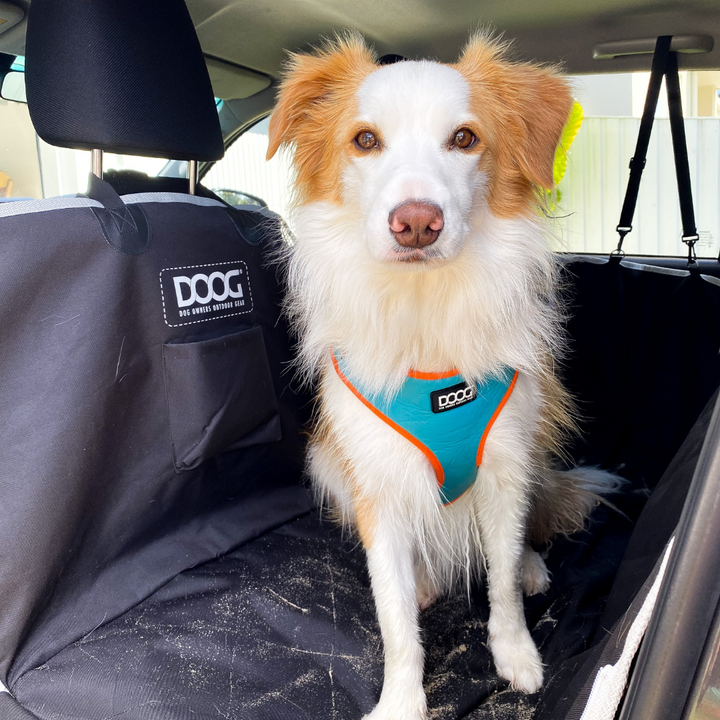 Neoflex Soft Harness