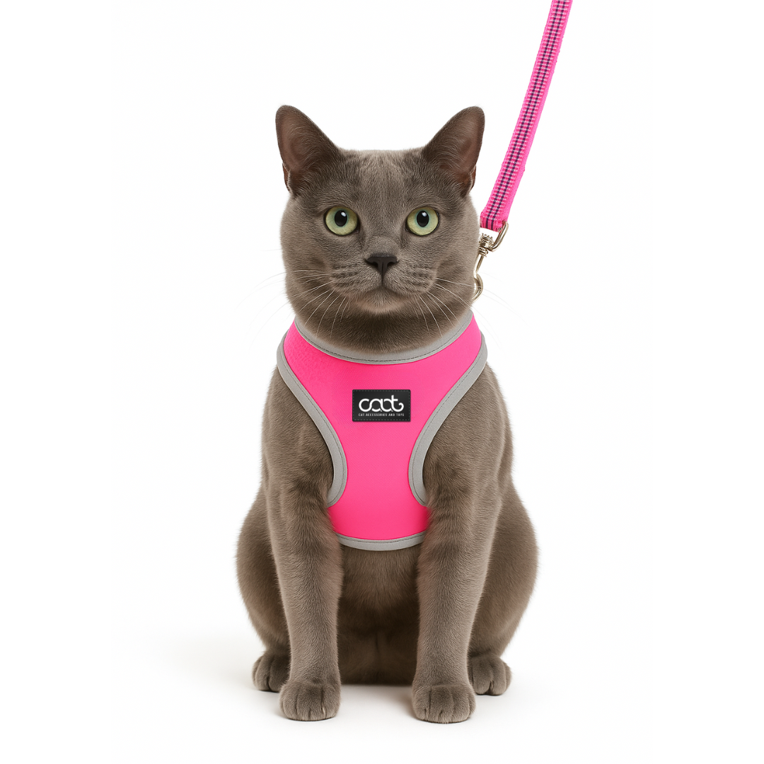 CAAT Cat Harness & Leash Combo