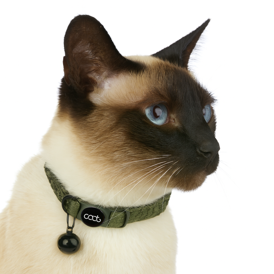 CAAT Quick-Release Cat Collar