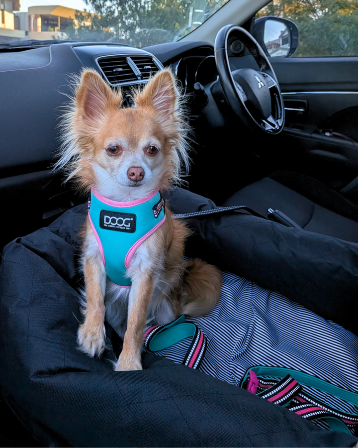 Neoflex Soft Harness