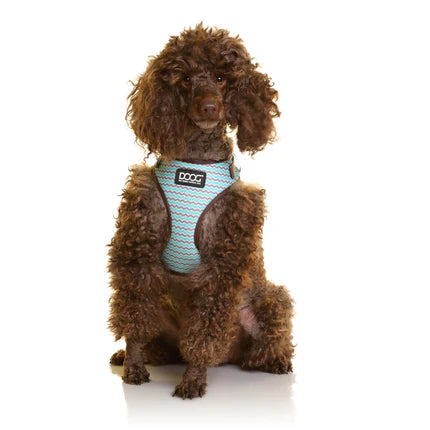 Neoflex Soft Harness