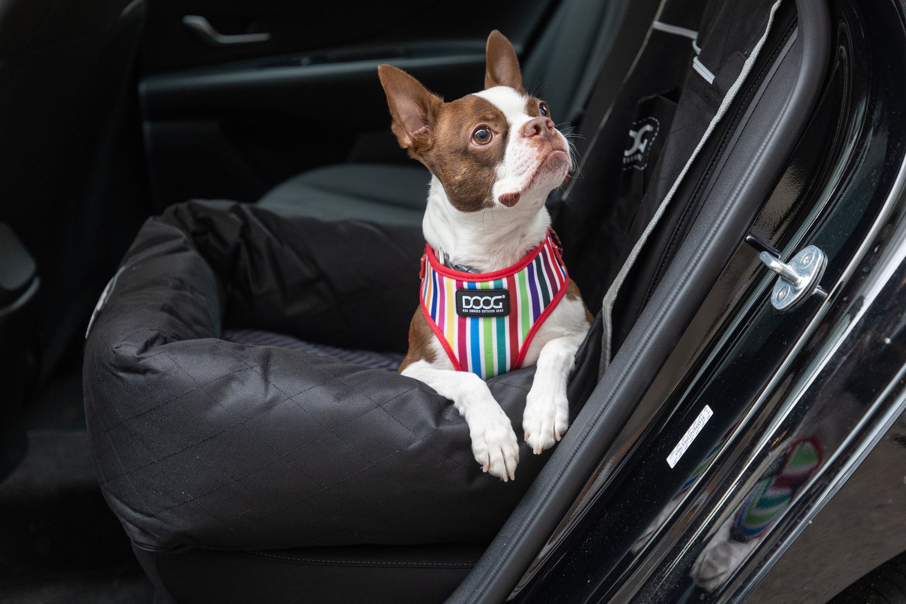 DOOG Official US Site (Dog Owners Outdoor Gear) DOOGUSA