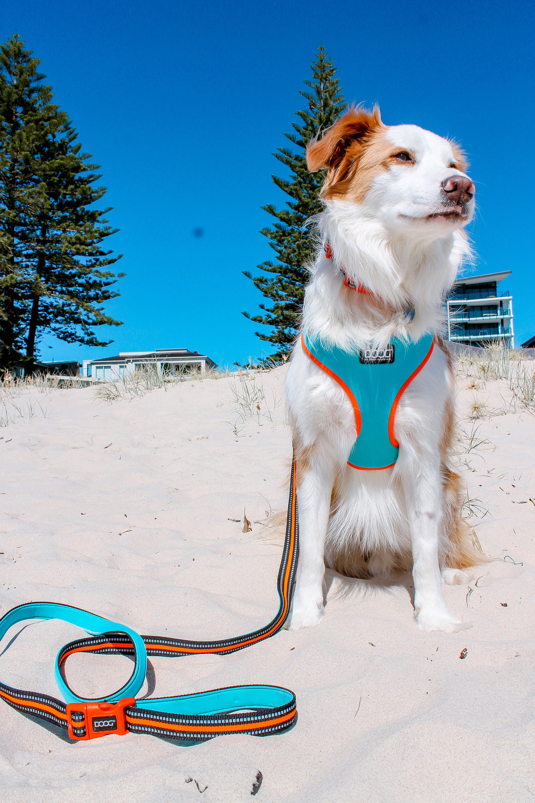 Neoflex Soft Harness