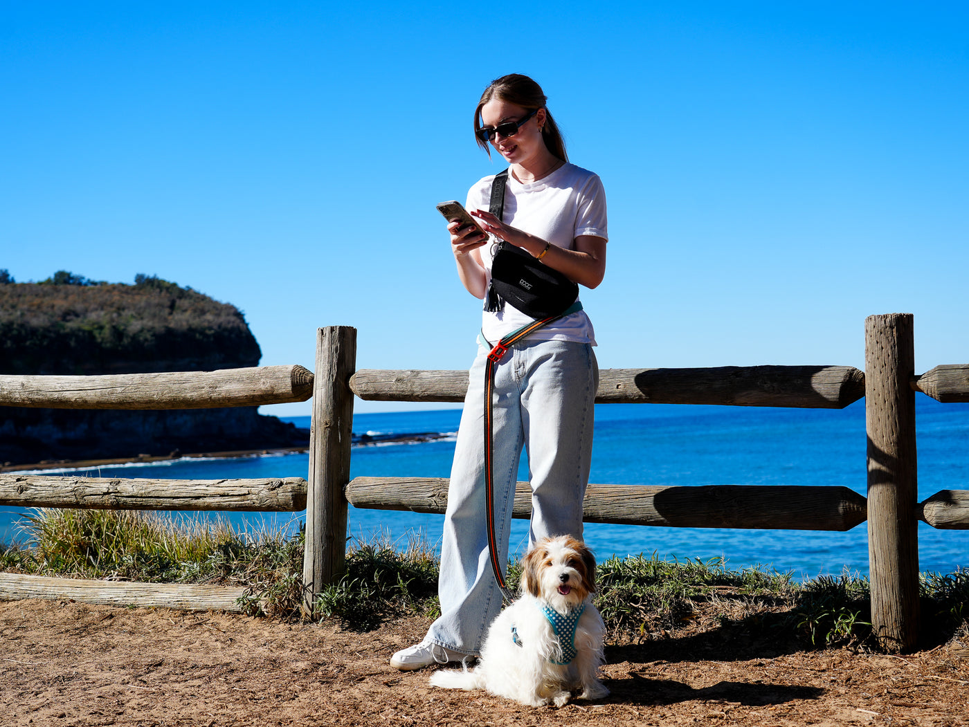 'Clip It' Neoprene Dog Leash - TOTO