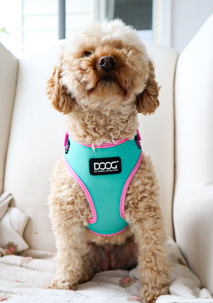 Neoflex Soft Harness
