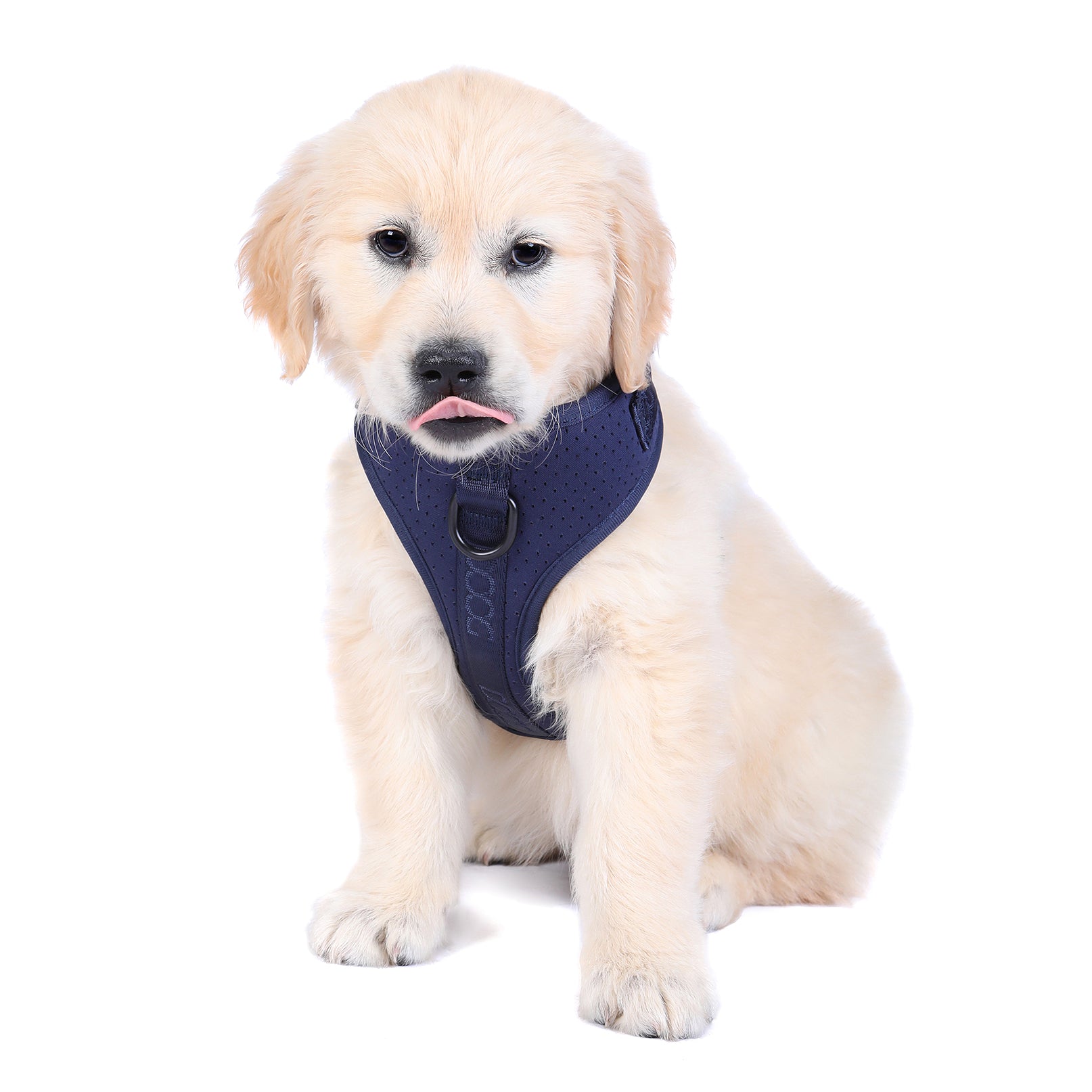 Neosport Harness – DOOGUSA
