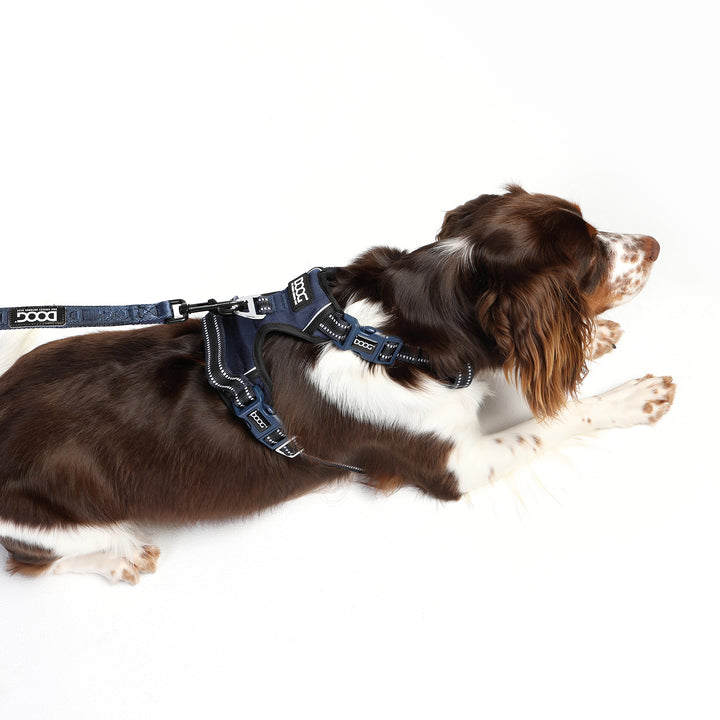 Neotech Harness