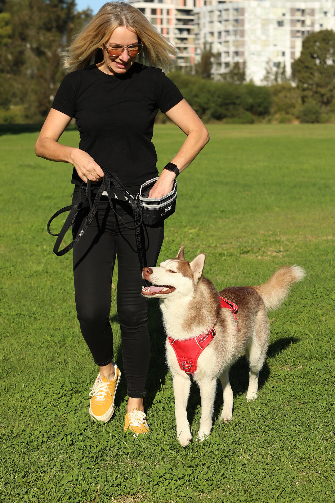 Good Dog Treat & Training Pouch (Large)