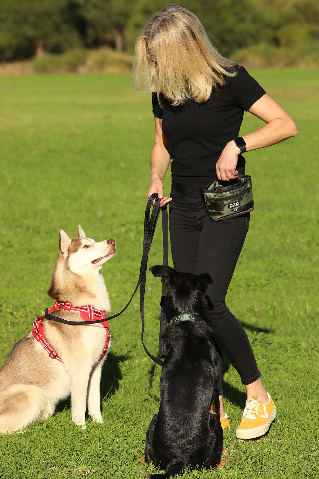 Good Dog Treat & Training Pouch (Large)