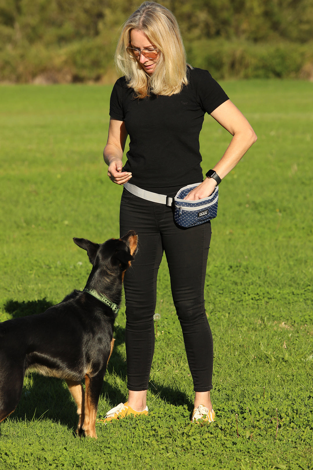 Good Dog Treat & Training Pouch (Large)