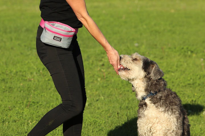 Good Dog Treat & Training Pouch (Large)