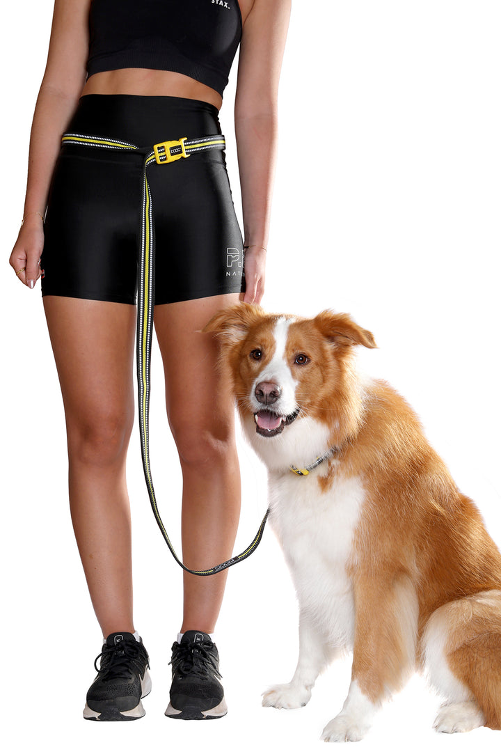 'Clip It' Neosport Neoprene Dog Leash