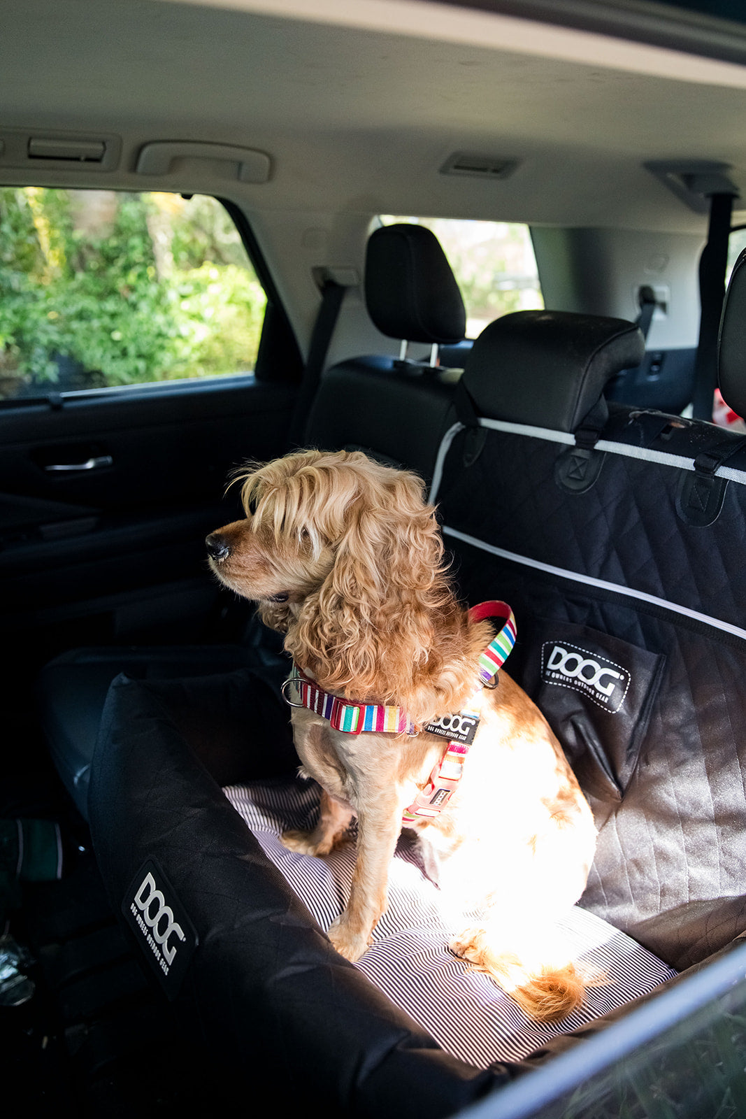Dog Car Seat - Medium