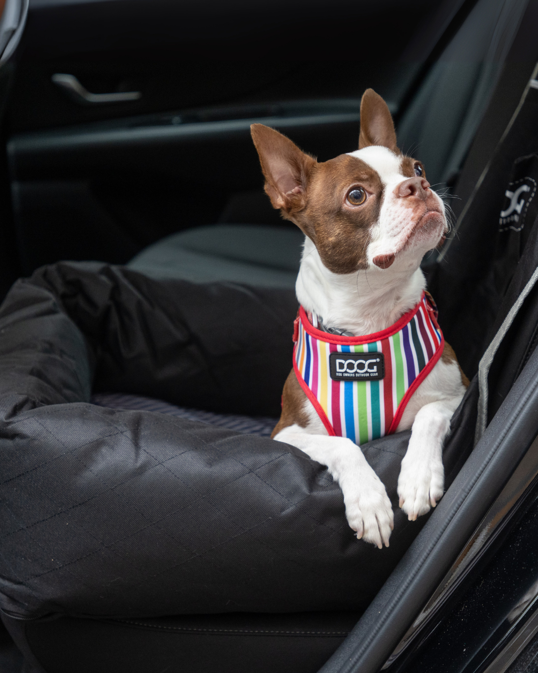 Neoflex Soft Harness
