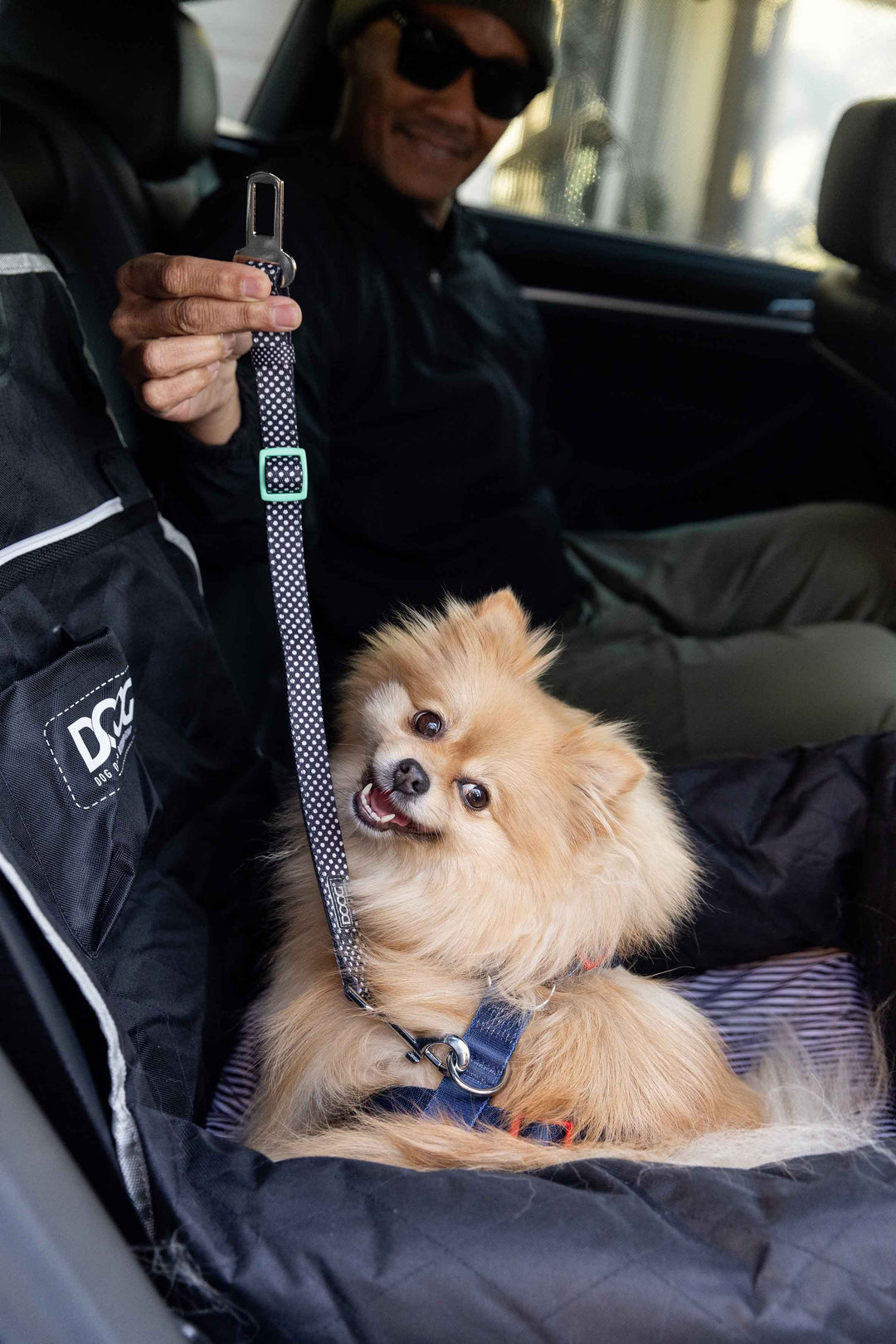 Dog Car Seat - Small to Medium