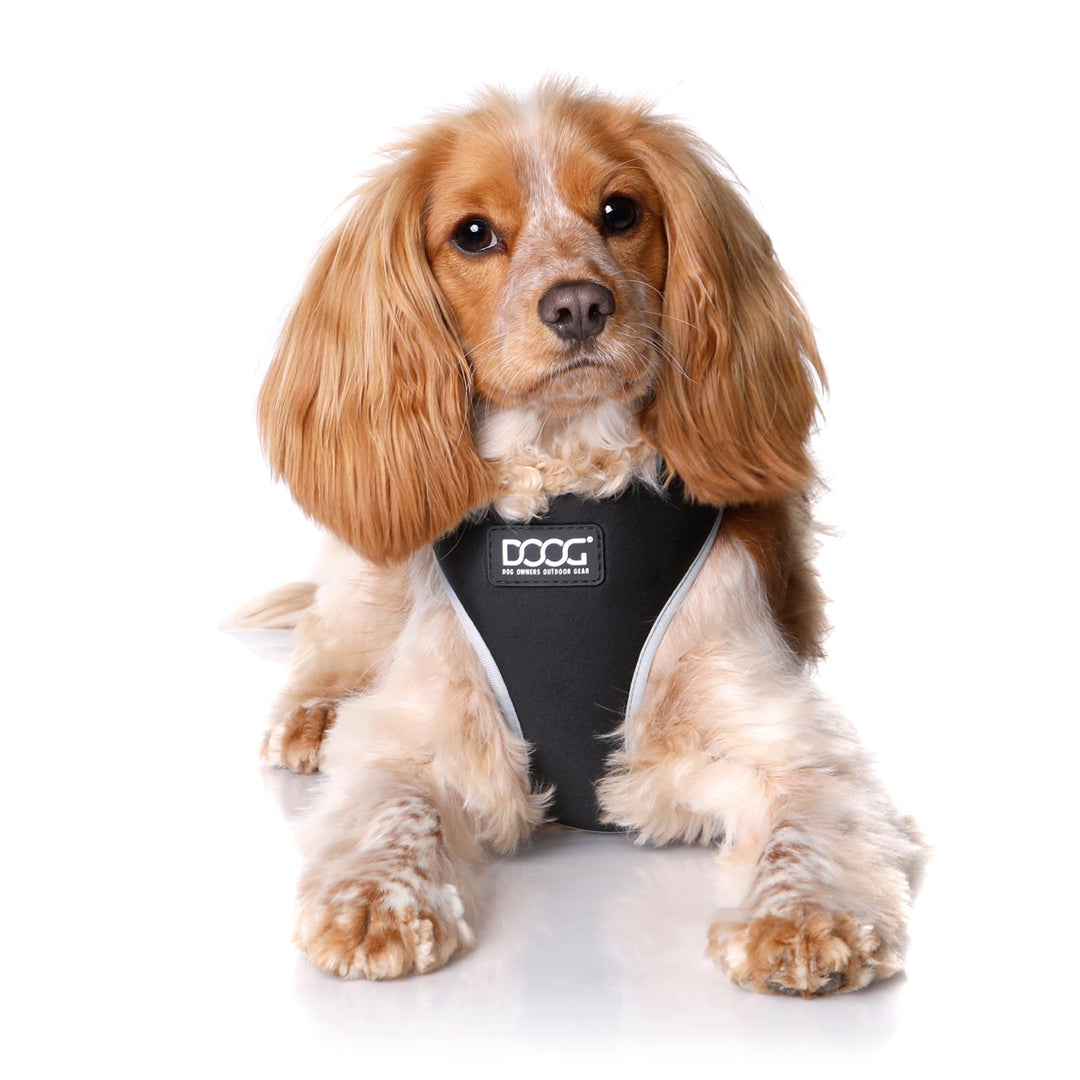 Neoflex Soft Harness