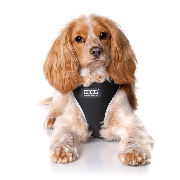 Neoflex Soft Harness