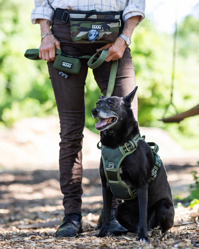Walkie Pouch