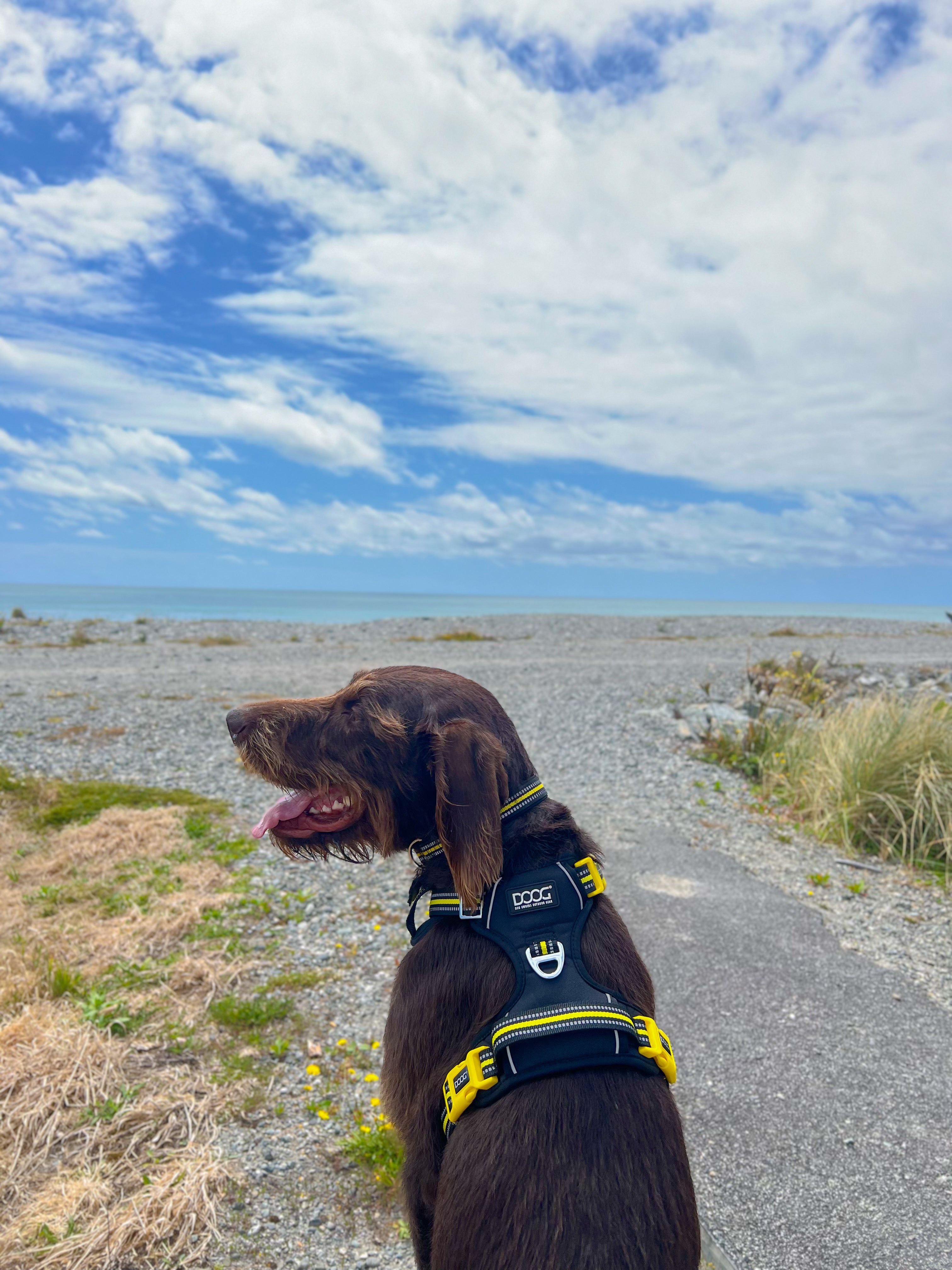 Neotech Harness – DOOGUSA