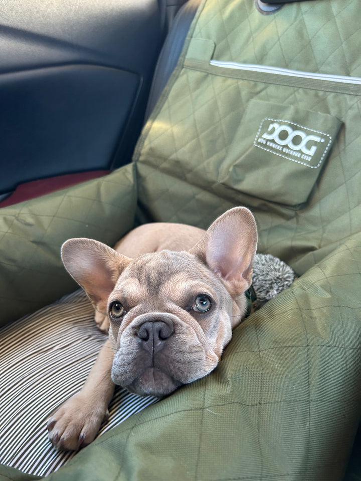 Dog Car Seat - Small to Medium