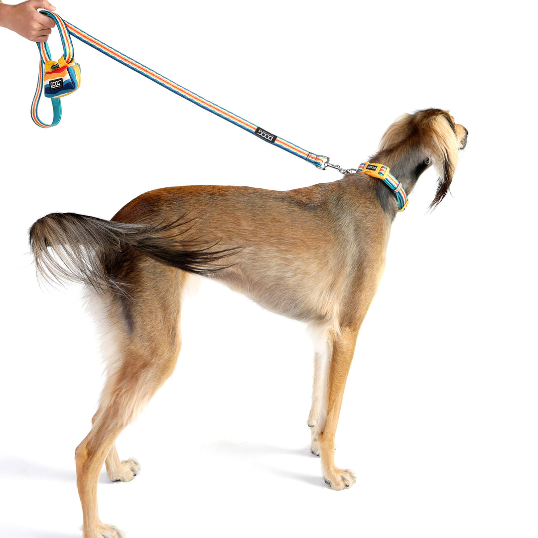 Neoprene Dog Leash - Regular