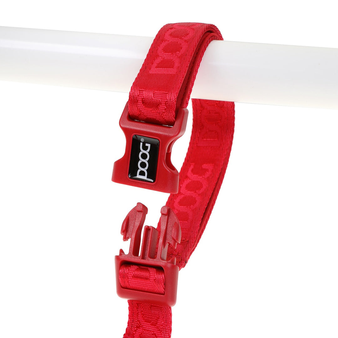 'Clip It' Neosport Neoprene Dog Leash