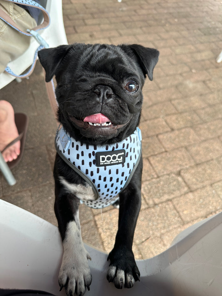 Neoflex Soft Harness