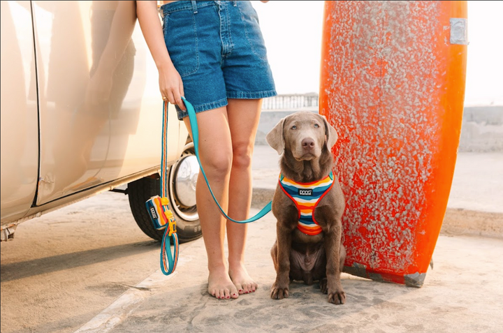 Neoflex Soft Harness