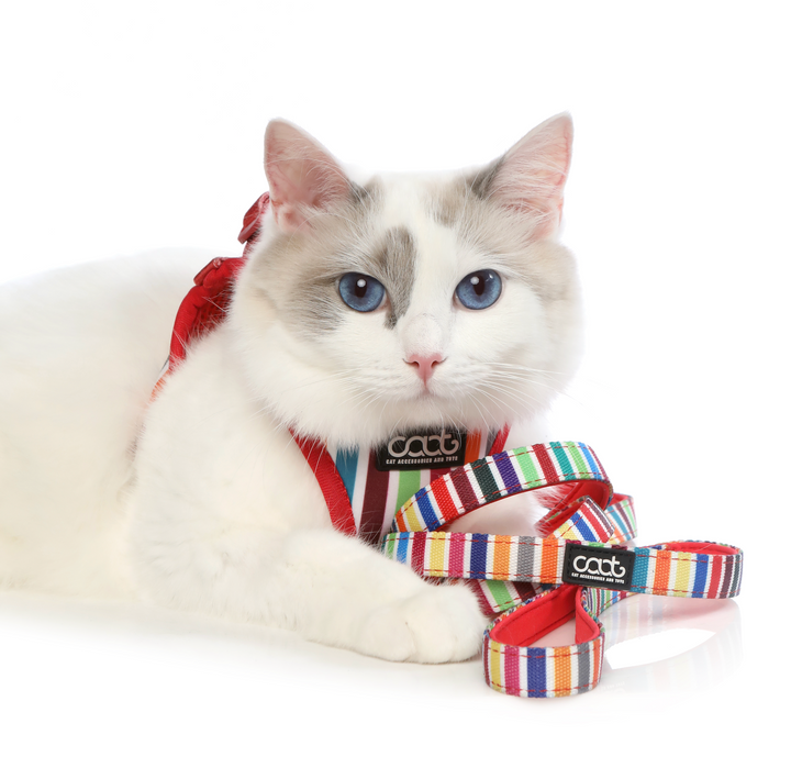 CAAT Cat Harness & Leash Combo