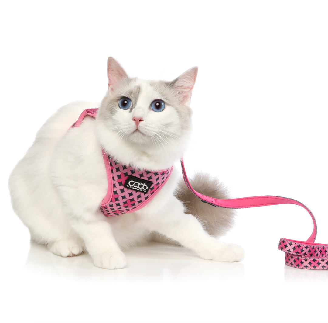 CAAT Cat Harness & Leash Combo